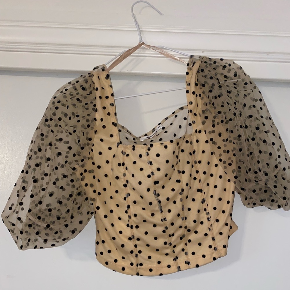 puffy short sleeve blouse